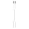 Apple - Adattatore da USB-C a jack cuffie (3,5 mm)