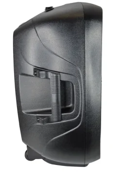 Karma Tiger 10A - Diffusore Amplificato 170W - black