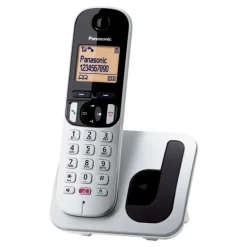 PANASONIC - Telefono Cordless fisso KX-TGC250JTS - SILVER