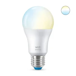 WiZ Lampadina A60 E27