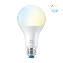 WiZ Lampadina A67 E27